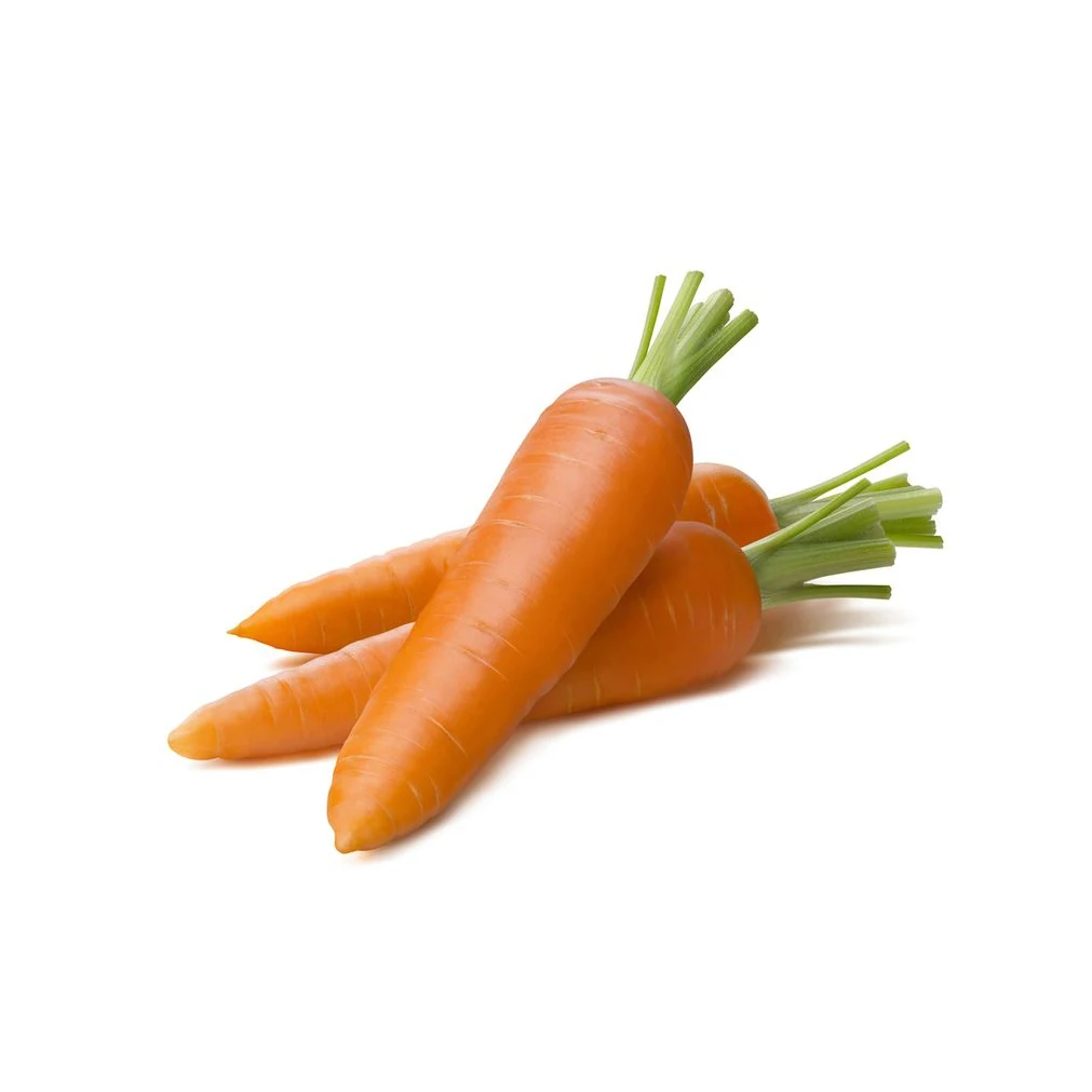 2023 NEW Carrot fresh organic carrots high quality in carton S M L professional export fresh carrot hot sale