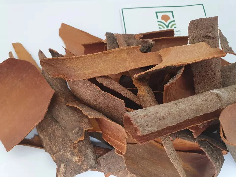 Product With Best Price Wholesale High Quality From Manufacture Cassia Broken with skin Origin Vietnam
