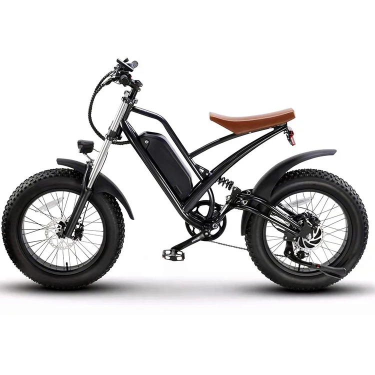 20 Inch Off Road Ebike Electric Hybrid Bike Electric Fat Tire Bike Bicycle 1000W Motor Power Electric Mountain Bike