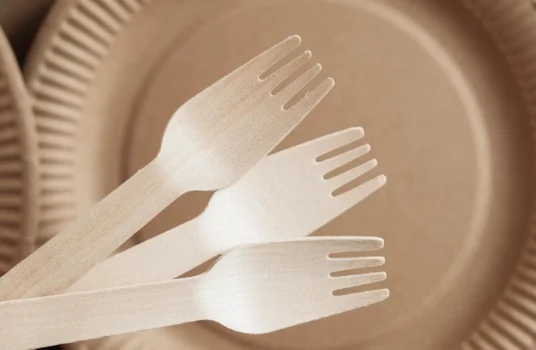 Promotion eco-friendly wooden forks Disposable Cutlery Customized Wooden Forks