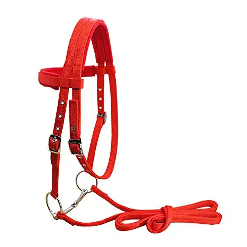 Equestrian Padded Headstall Reins Horse unique custom handmade horse riding halter bridle affordable price manufacturers India
