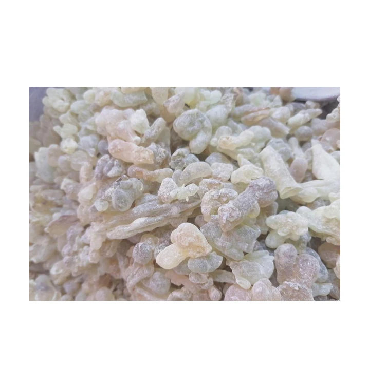 Origin from Oman Superlative Quality Guggal Gum Resin Hogari Loban Frankincense at Factory Direct Price