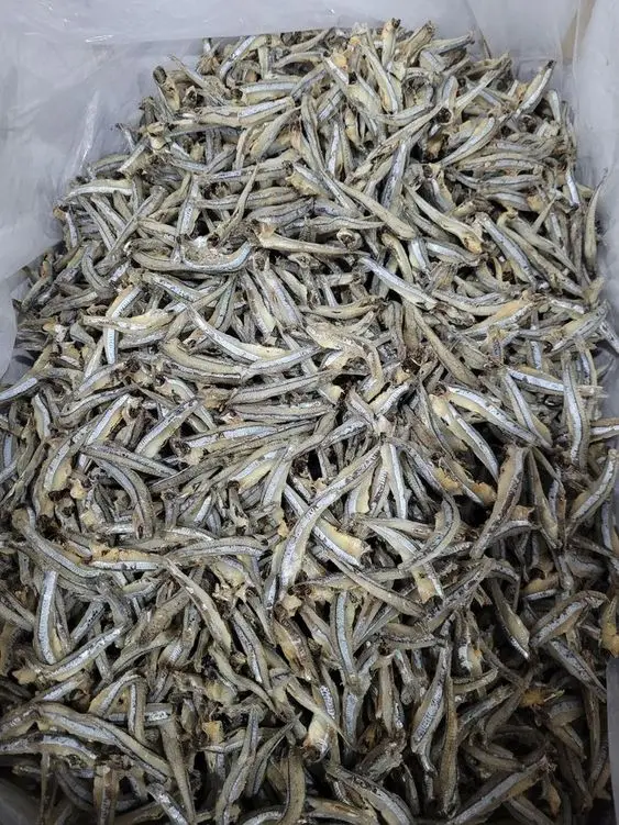 Exporting dried anchovies, raw materials processed from wild-caught sea anchovies