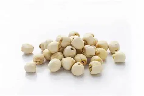 WHITE LOTUS SEED