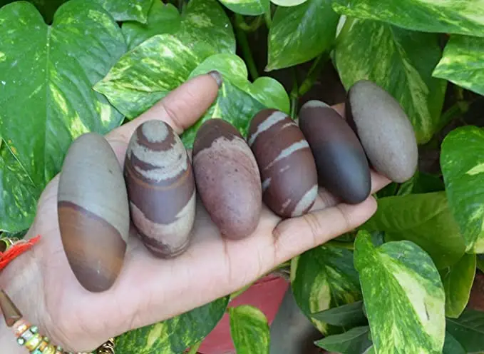 Narmada Shivling 11 Pcs Set Semi-Precious Stone Spiritual Religious Shiva Lingam