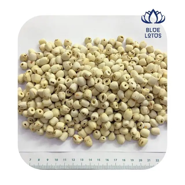 Семена лотоса