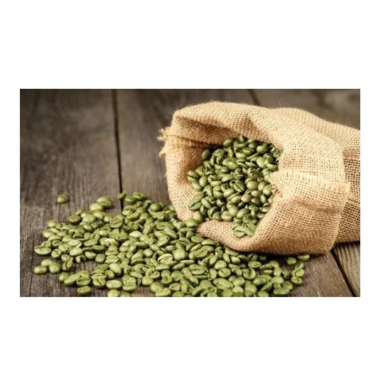 Hot Selling Vietnamese Premium Quality Coffee beans with Wholesale Robusta Green Coffee Beans