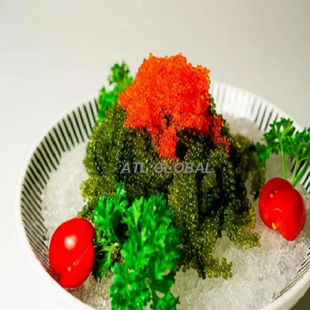 BEST PRICE DEHYDRATED SEA GRAPES HIGH QUALITY SEA GRAPES FROM ATL GLOBAL