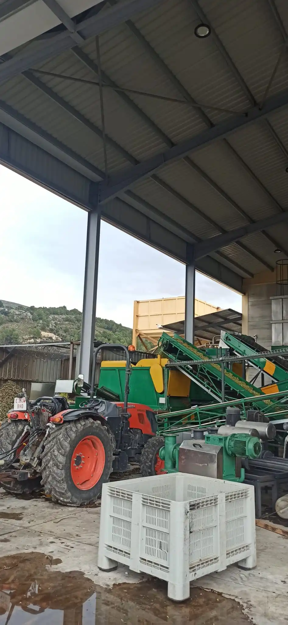 Отличное испанское оливковое масло холодного отжима высшего качества пакетин 100 натурального происхождения из Испании