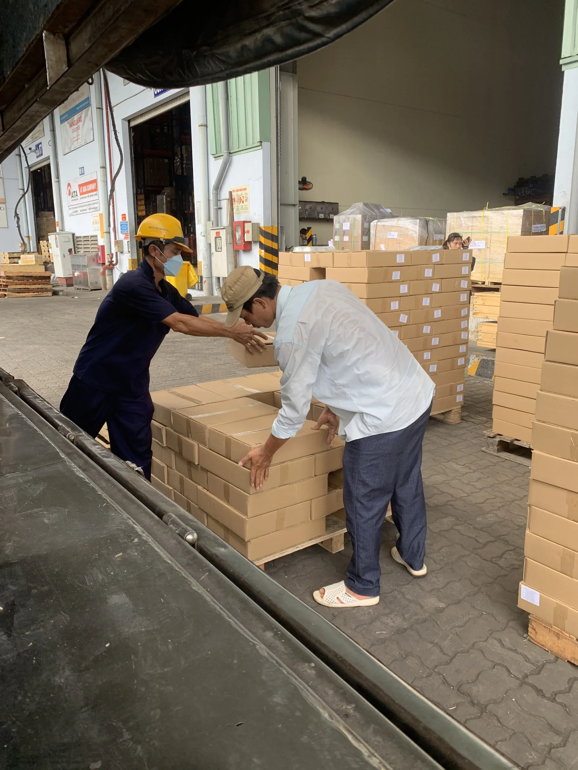 NATA DE COCO// COCONUT JELLY MADE IN VIETNAM 2022 // Ms. Jennie (Whatsapp 84358485581)