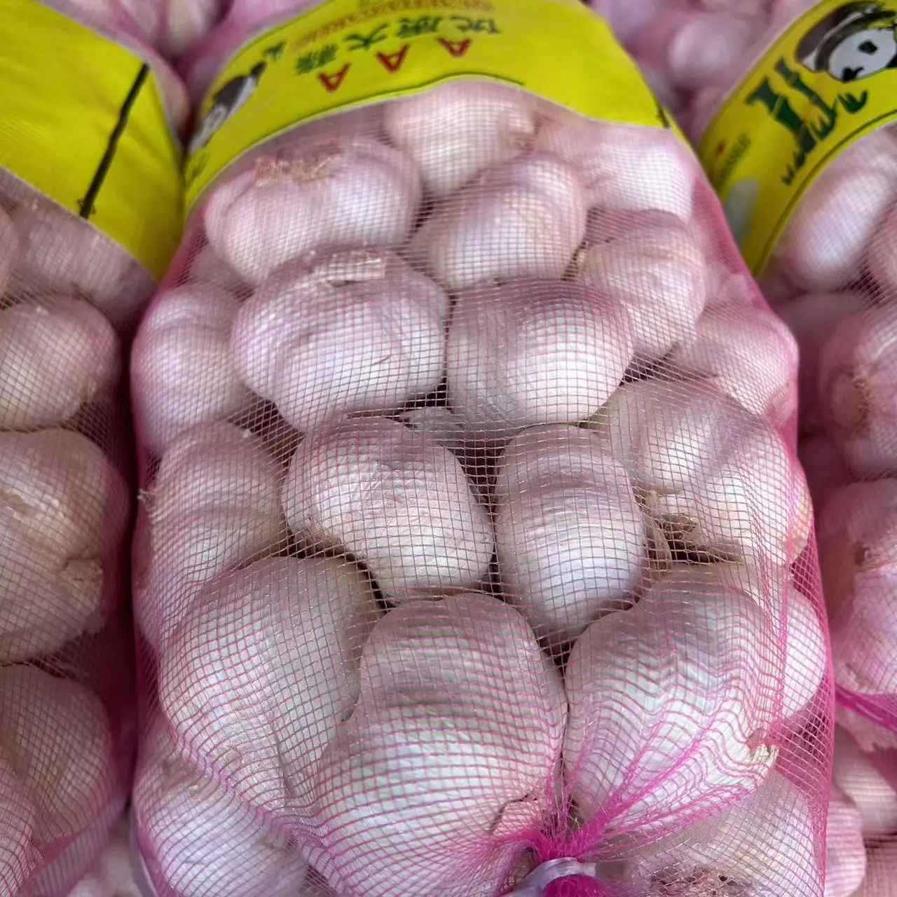 Fresh Garlic Fresh Export Packed In 10kgs In Carton Mesh Bag Pure White Fresh Garlic/ Fresh Harvest