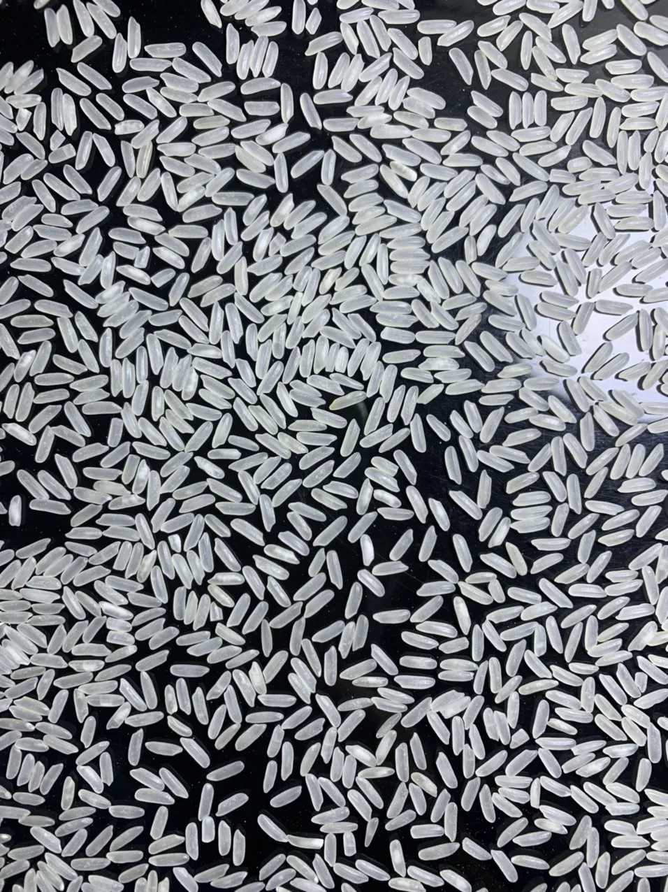 JASMINE ARROZ RIZ SUPPLIER IN VIETNAM DT8MAX WHITE LONG GRAIN RICE WHOLESALERS PRICE FROM JCC RICE SUPPLIER