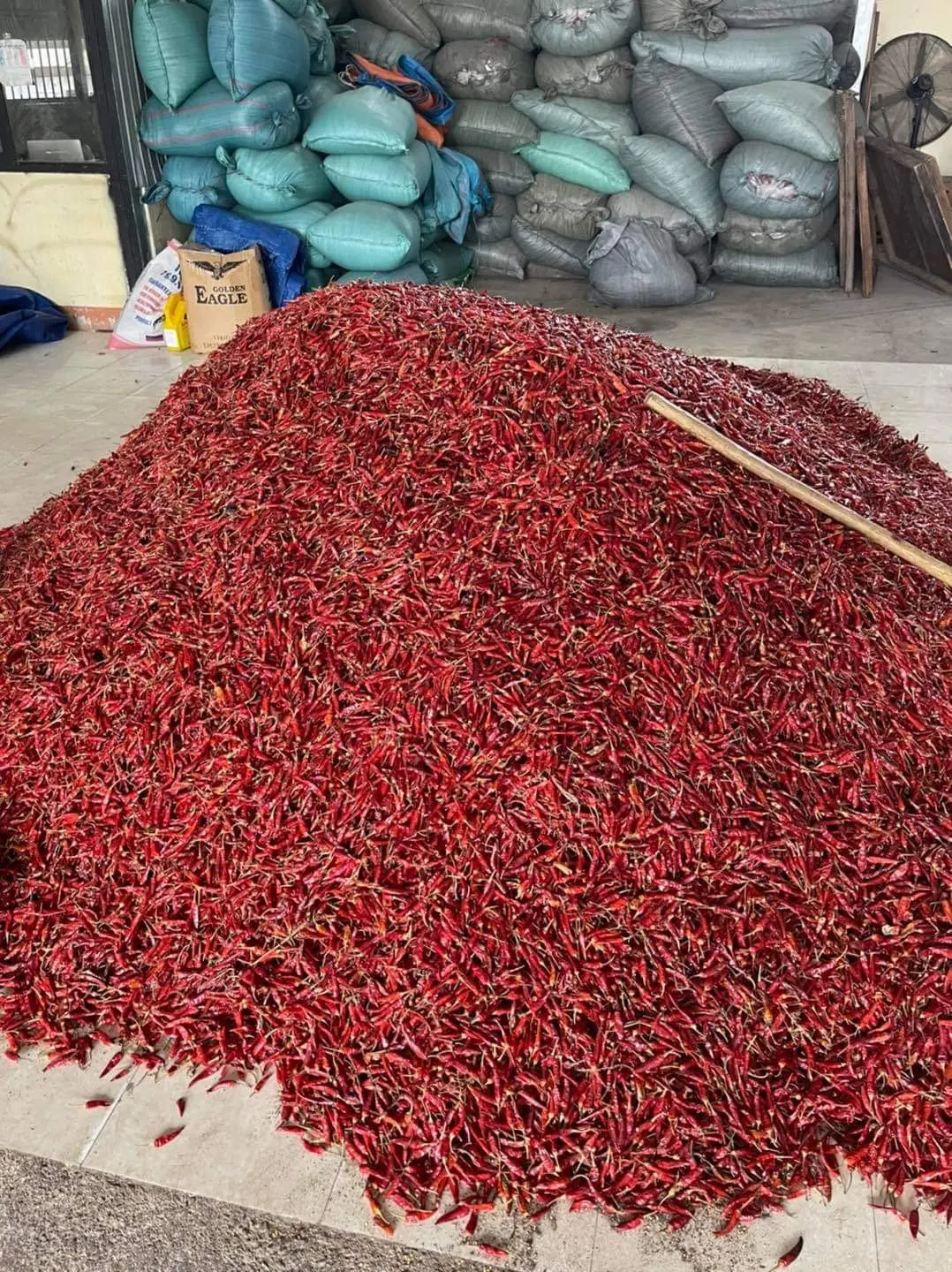 HIGH QUALITY AND BEST SUPPLIER DRIED RED VIETNAM CHILI //FROM VIETNAM NEW CROPS 2022 // MS. JENNIE (whatsapp+84 358485581)