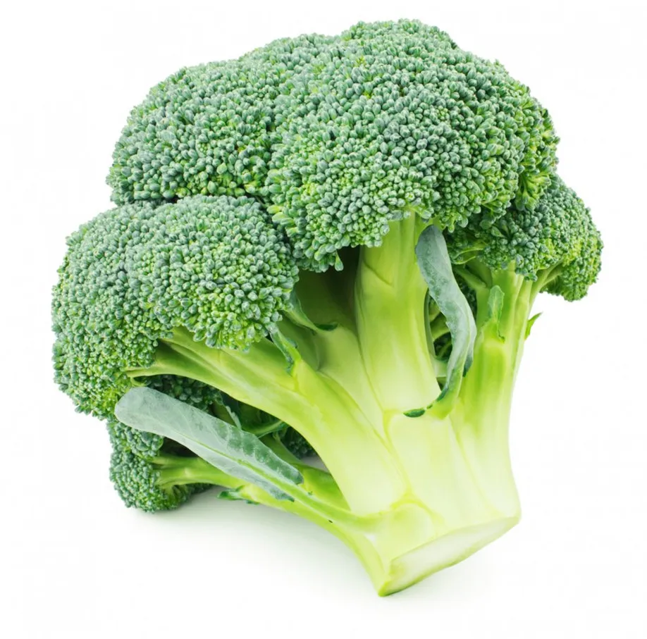 Organic and Green IQF Frozen Broccoli Florets of Various Sizes and Shapes for export