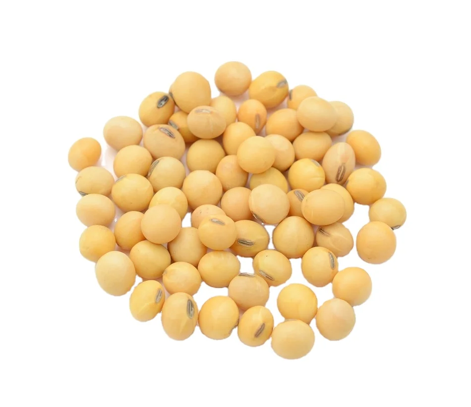 Agriculture Best Price Soya Beans/Soybean for Human Consumption With Certified Quality From Canada Origin