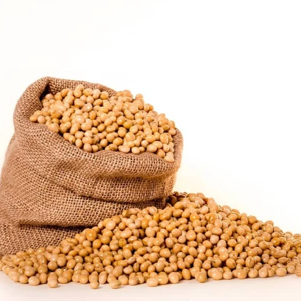 TOP QUALITY NON GMO SOYBEANS SEED / YELLOW SOYBEANS DRIED IN BULK