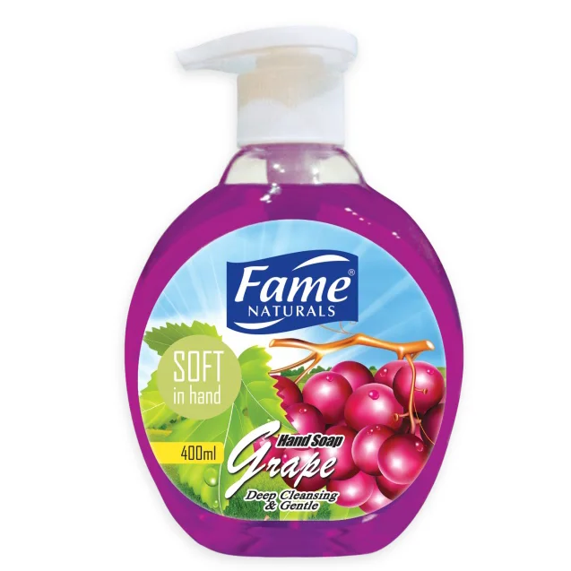 OEM Fruity Sensation 400ML Liquid Hand Wash Lemon Orange Grape Strawberry Apple Fame Hand Soap In Plastic Bottle Packaging
