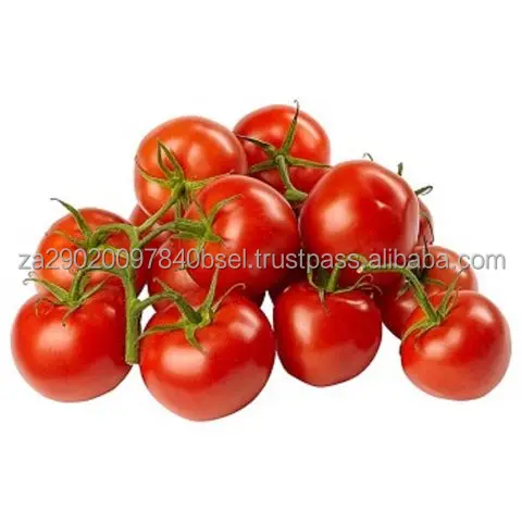 Fresh-Plum-Tomatoes (1).jpg