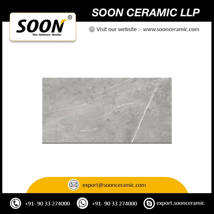 Direct Factory Supply 300x600mm Porcelain Tiles for Indoor and Outdoor Wall Decoration Amaze Lux Wall Tiles