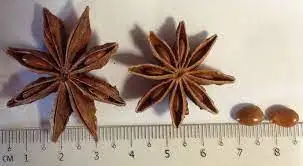 Autumn/ Spring Star Anise/ In New Crop 2022 Anise// Ms. Jennie