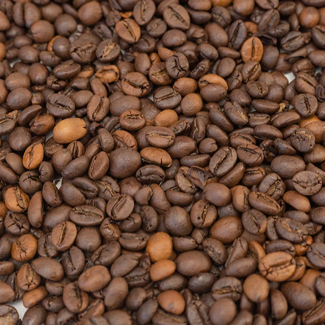 Robusta Honey Green Bean S18 Top Grade Coffee Beans Wholesale High Quality Premium Grade 60 Kg 18 COMMON Cultivation