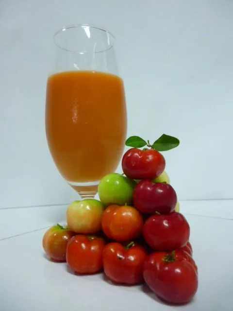 Frozen Juice Acerola Puree Cerise Fruit Juice Malpighia Glabra +84947900124