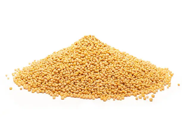 Yellow Mustard Seed
