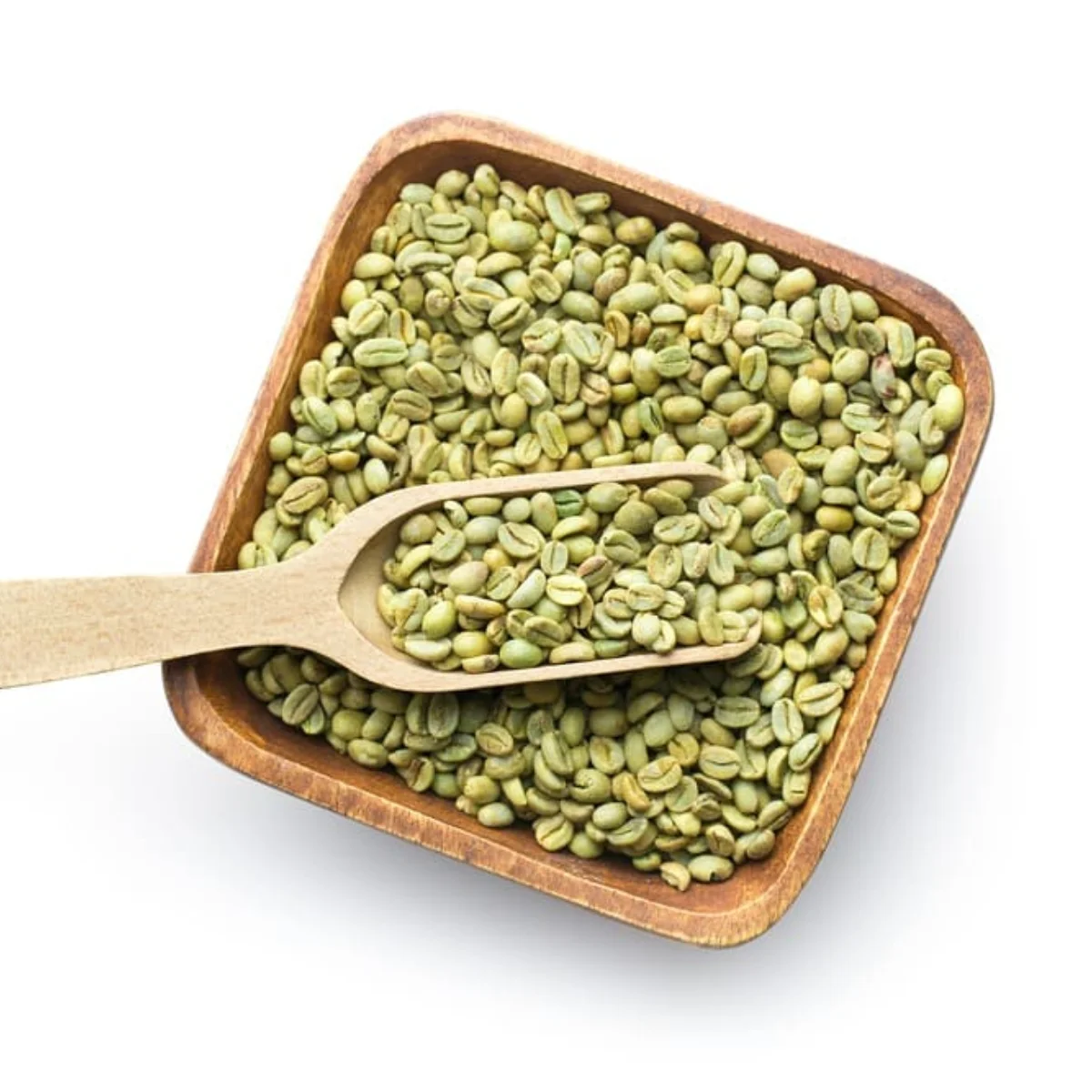High Quality Green Coffee Beans Robusta / Arabica Clean S16, S18 - AA Green Coffee Beans Export From Vietnam - DHP One