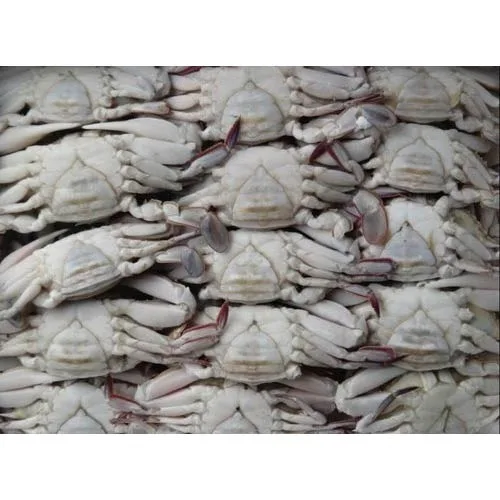 high quality live king crab for sale bulk supplier hot sale live mud crabs blue frozen mud snow crab