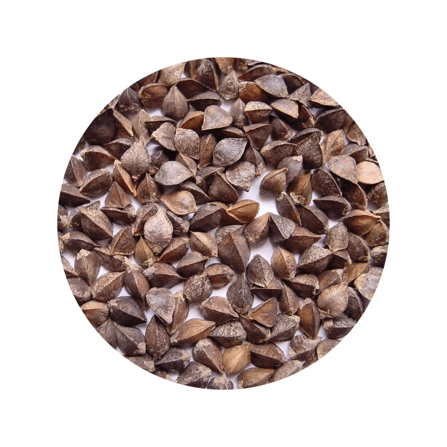 Rich In High Quality Protein Buck Wheat Grain Hot Selling Roasted Buckwheat Kernel