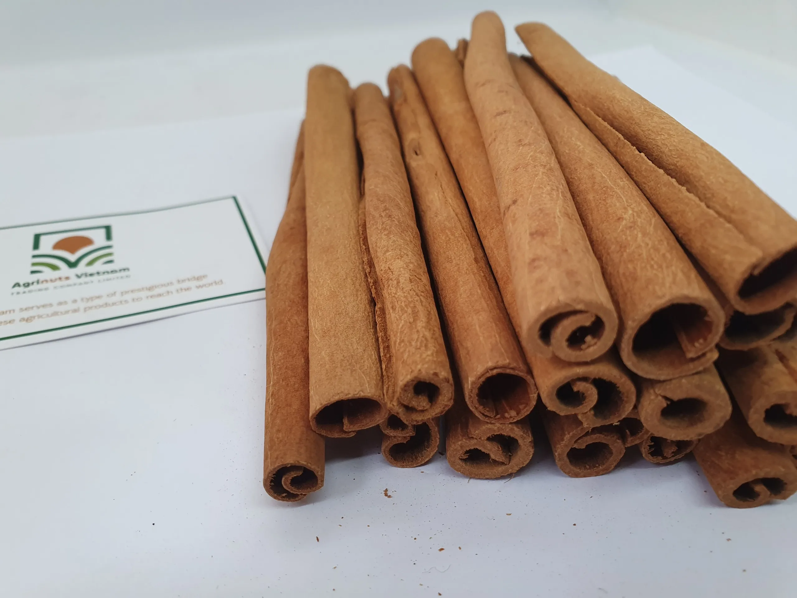 Cassia 14cm Origin Vietnam Cigarette Product With Best Price For Sale High Quality From Manufacture