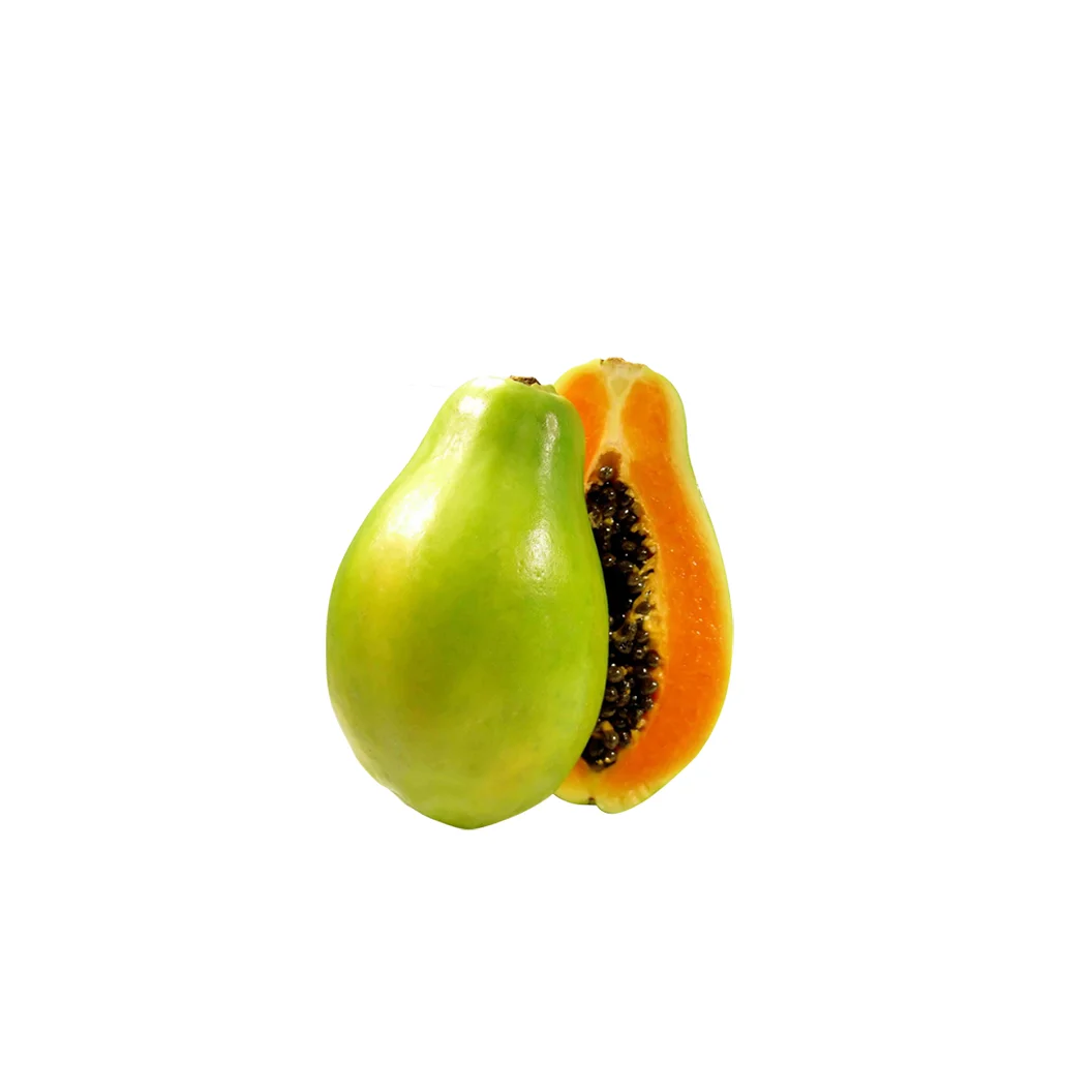Best Price Famous 1 Foot Long Papaya Hybrid Fresh And Super Sweet Flesh Tropical Fruits