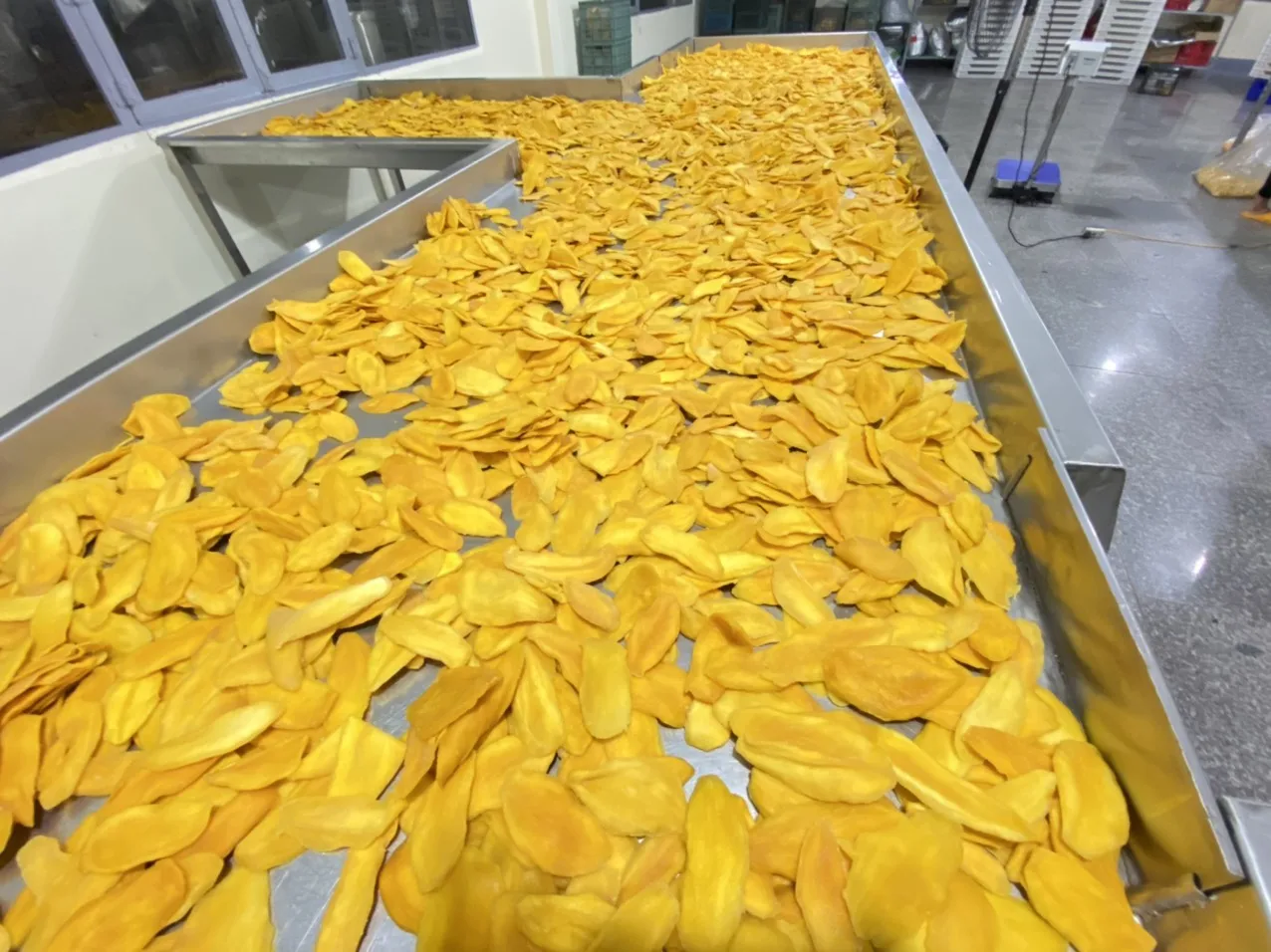 Fruit Products from Thailand Factories Dehydrated Mango Fruit Sweet Delicious Sugar Free OEM Private Label