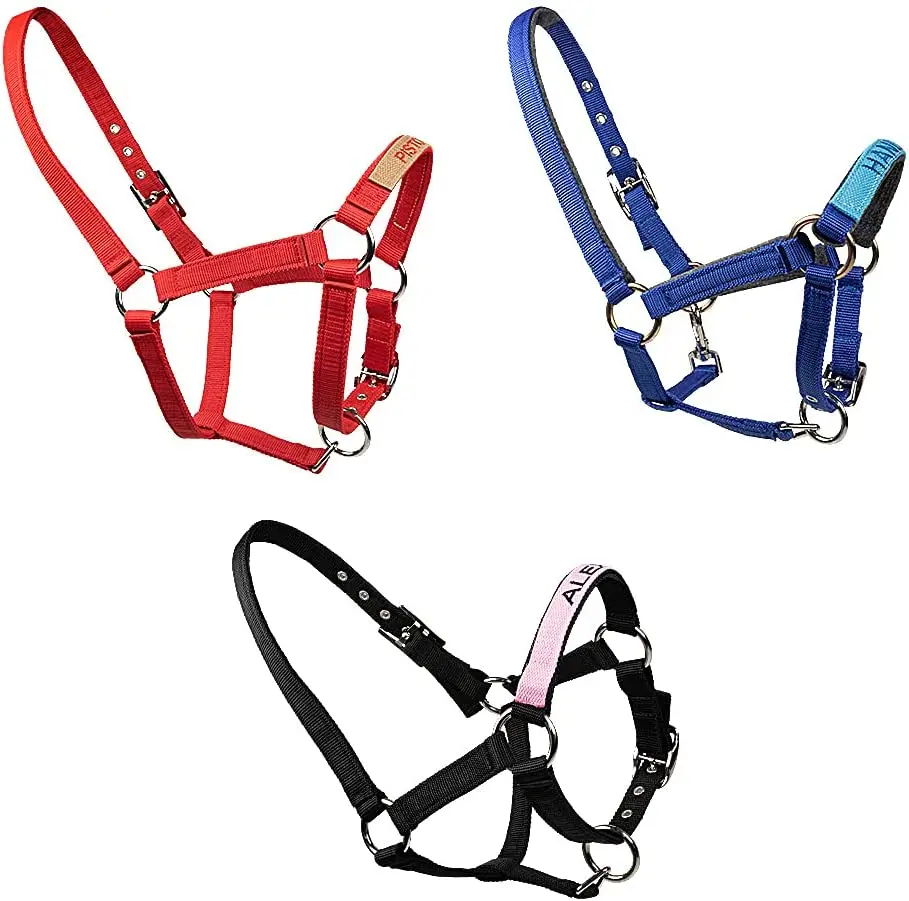 Any Color Deluxe Horse Halter Equine Halters Show Halters For Cob / Full Horses