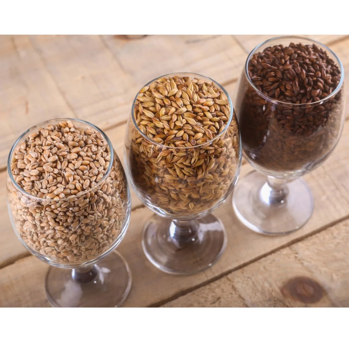 Wholesale Barley for Malt Barley Grains Ready For Export Bulk Malted Barley  Ready For Export at cheap price