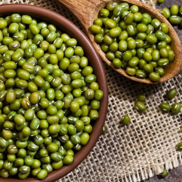 Wholesale Green Mung Beans Organic Bean High Quality