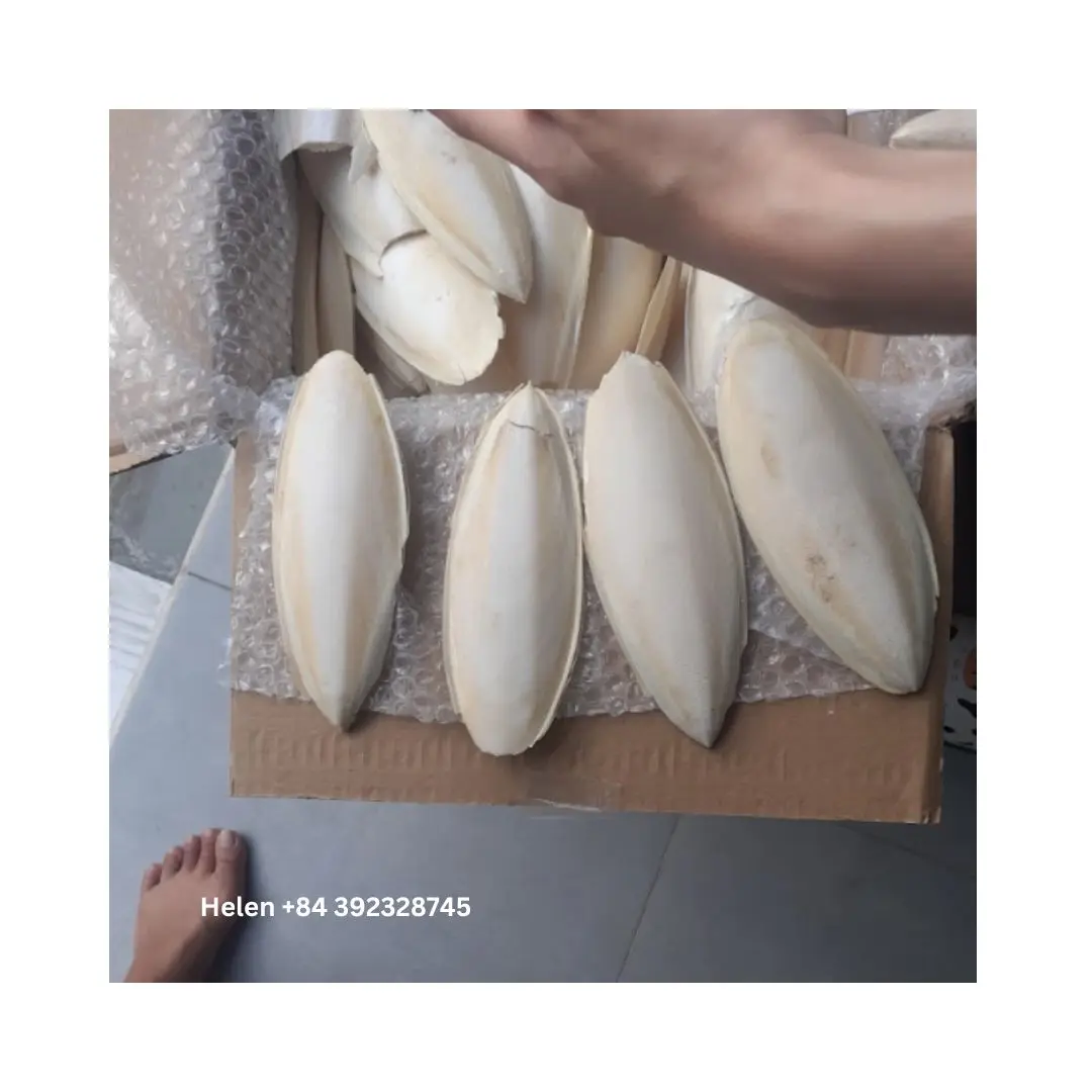 VIETNAM SUPPLIER CUTTLEFISH BONE - DRIED CUTTLEBONE VARIOUS SIZES WITH HIGH QUALITY HIGH GRADE FAVORITE BIRD CHOICE
