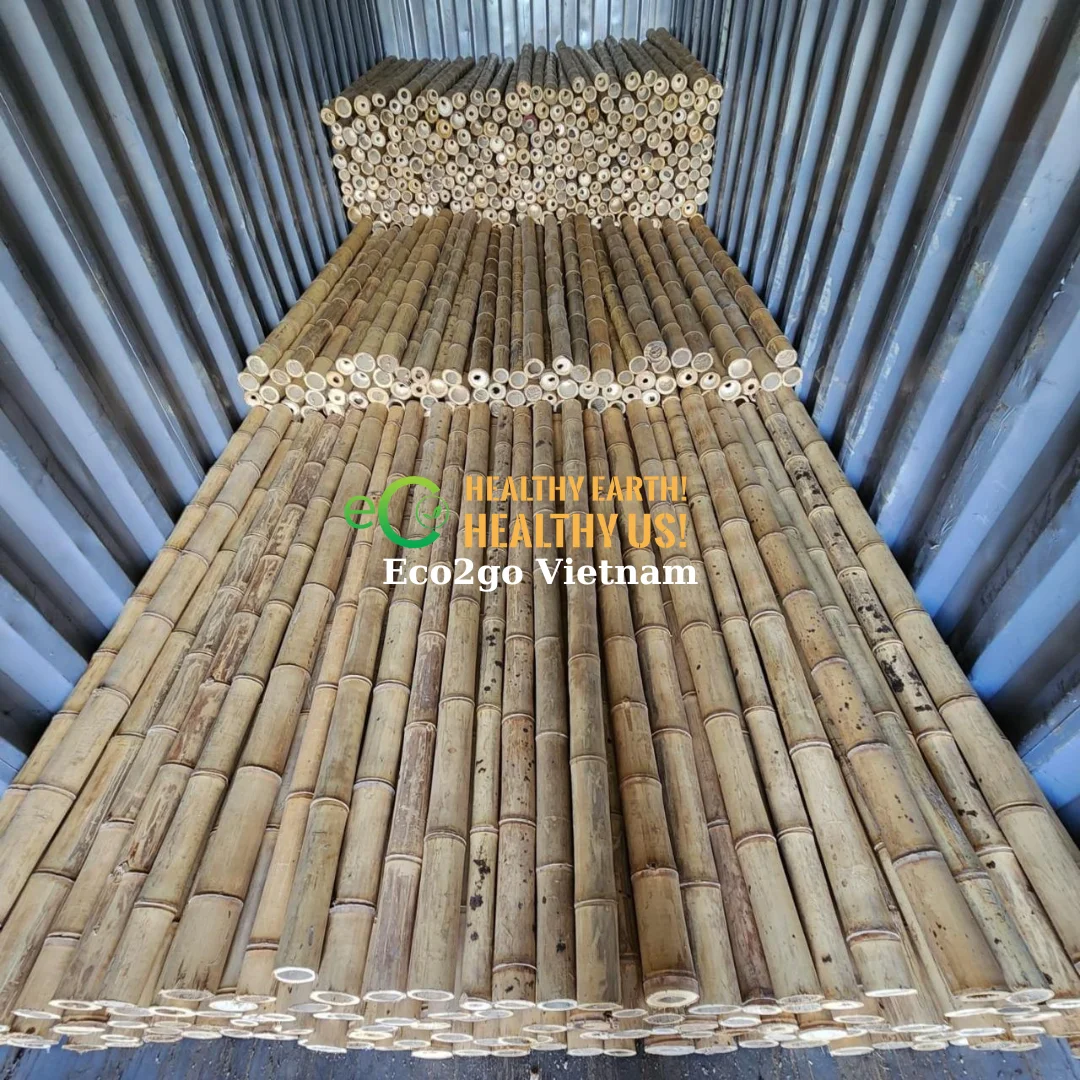 VIETNAMESE BAMBOO STICKS FOR PLANTS/BAMBOO STICKS FOR DECORATION/ BAMBOO STICKS FOR GARDENING FROM ECO2GO VIET NAM