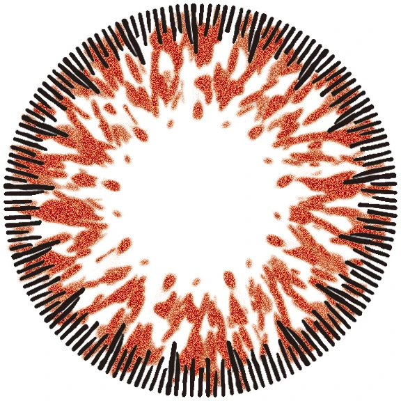 [UNISON] Korea Brand UNISON Best quality korean color contact lens Wholesale Cosmetic Contact lens Pearl Lens For Men & Women