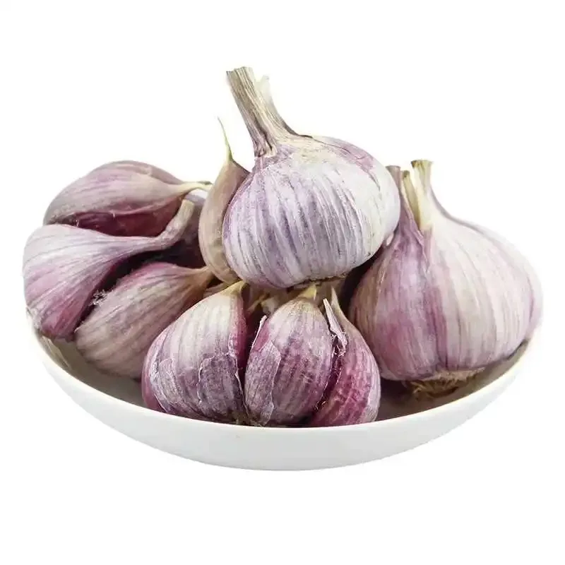 2022 new crop fresh garlic /mesh bags for vacuum packed peeled garlic