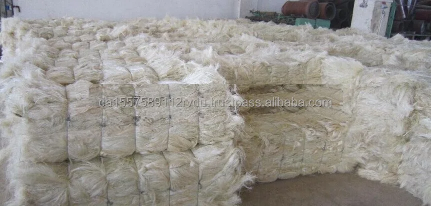 Sisal-Fiber.jpg