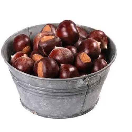 Whole Raw and Baked Organic Quality Chestnuts for Sale in Bulk