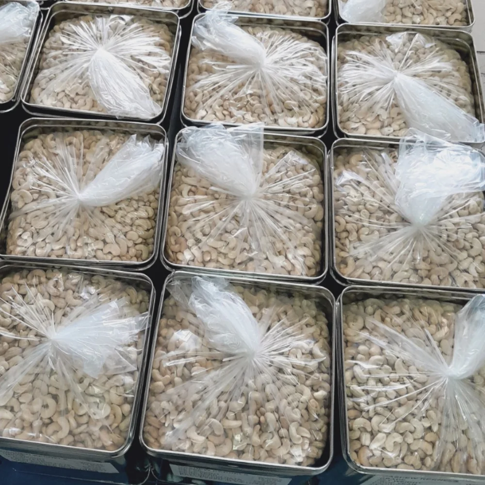 Vietnam Trusted Supplier Kaju Broken Cashew Nuts Cashew Nuts Exported To US, EU, W/S +84909774405 Kai