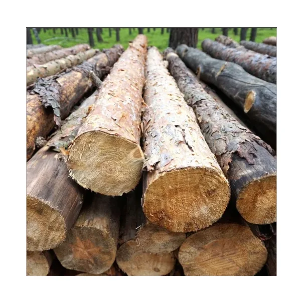 Kiln-Dried Seasoned Spruce Oak Pine Teak Walnut Round Logs-Diverse Hardwood Timber for Furniture Including Eucalyptus Wood