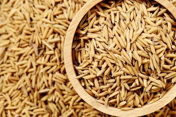 Exporting !! Very Cheap Price Raw Rice Husk from Vietnam !! Good commercial product, reasonable price