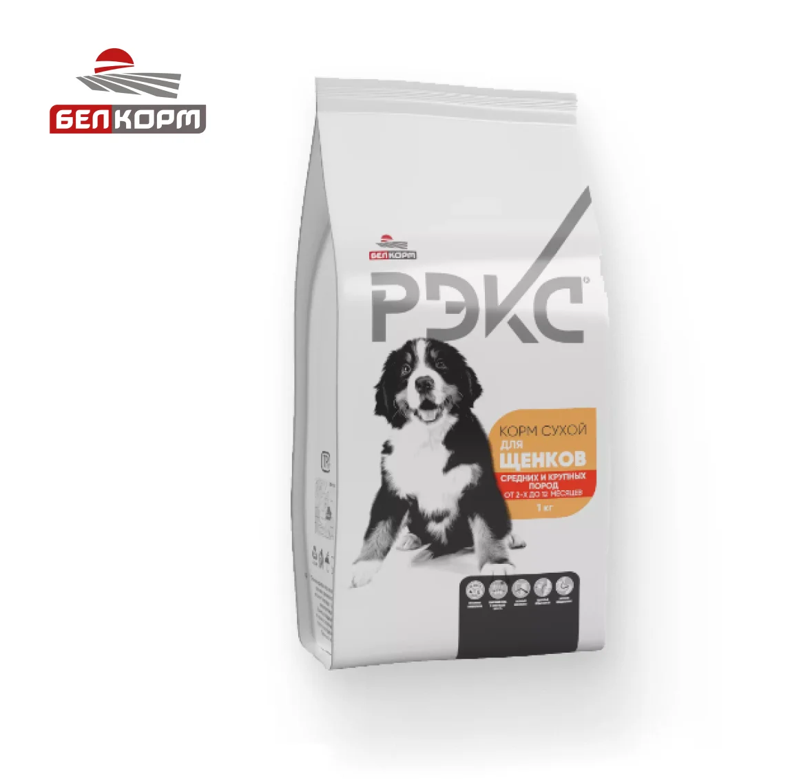 REX Питательный комплекс сухой корм для щенков 2-12 месяцев средних и крупных пород 10 кг мешок рыб кошек