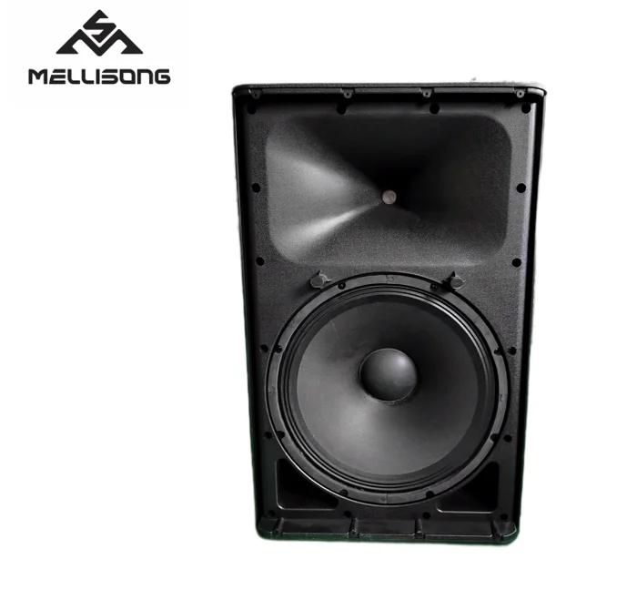 Professional Powered 500-watt 15-inch two-way plastic Active Speaker FPM15AD With bluetooth and MP3, SD, USB OEM/ODM