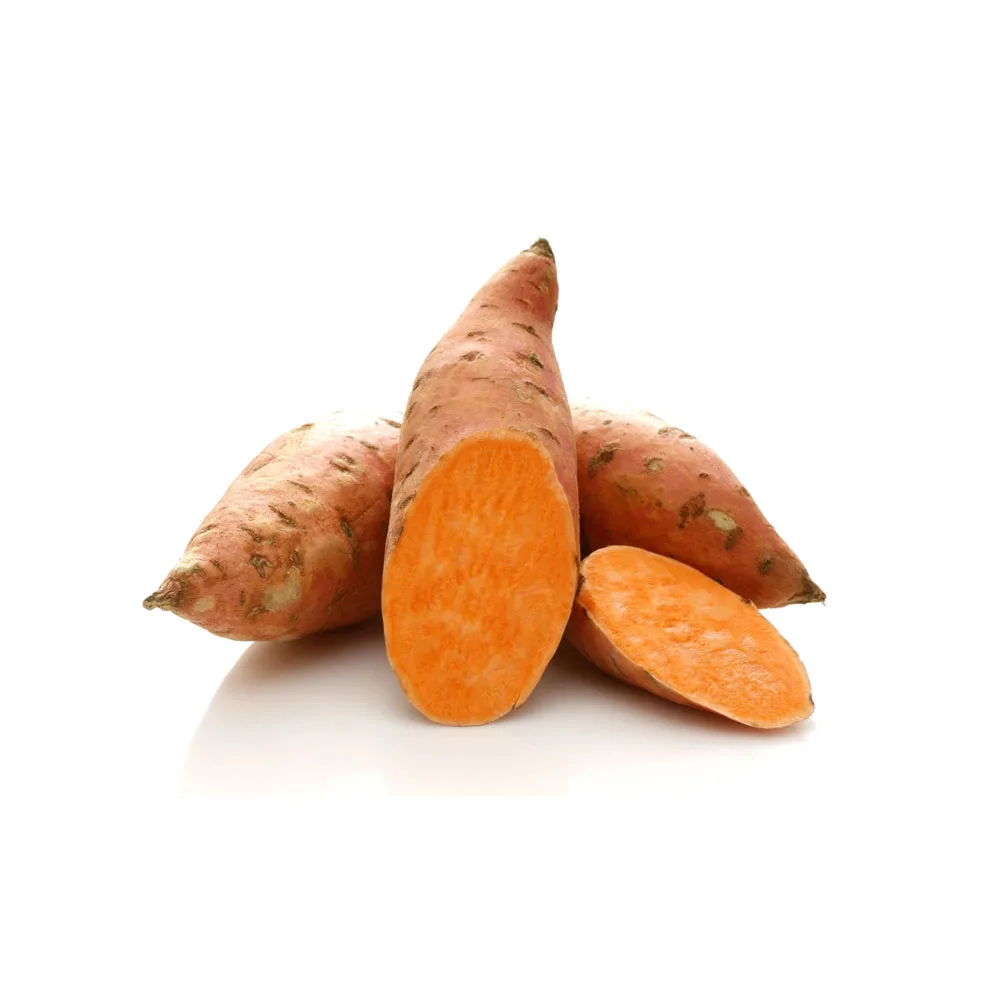 Best selling fresh potato / potato chips at cheap price - Wholesale for frozen potato French fries