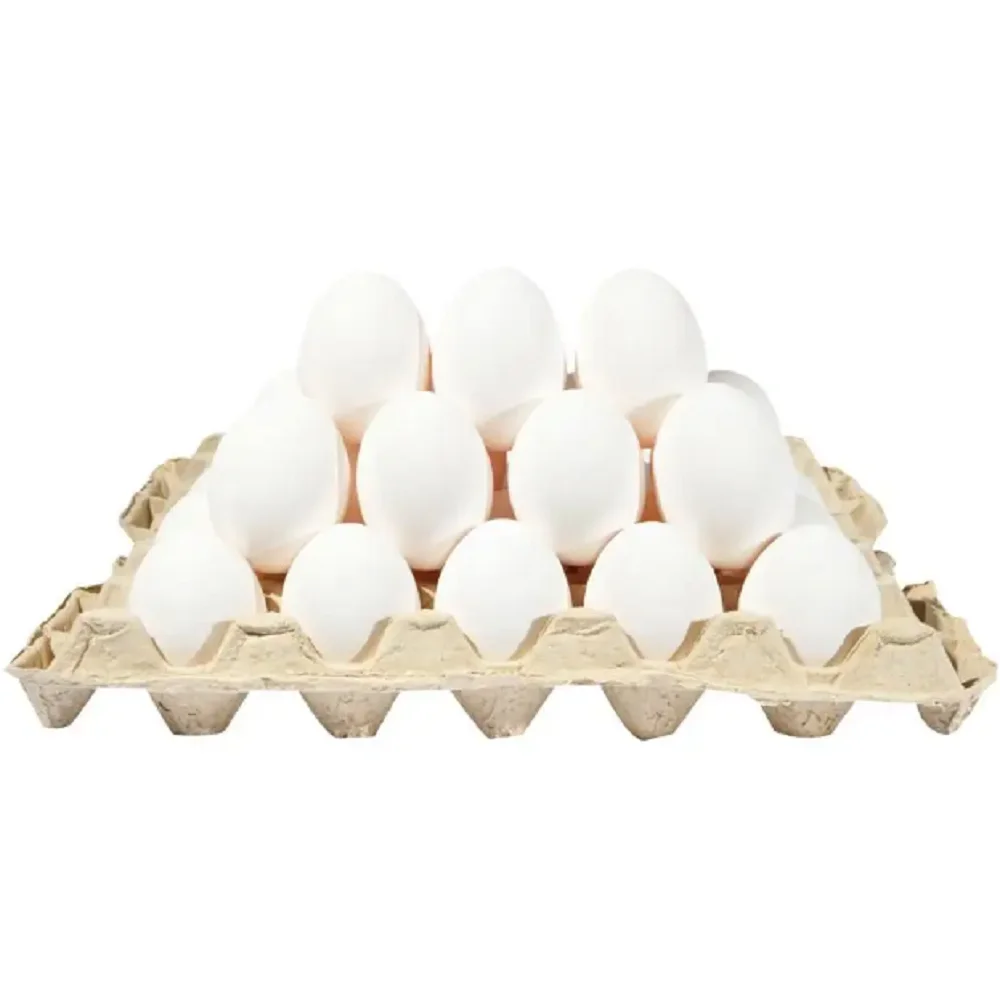 Fresh Brown And White Shell Chicken Eggs Farm Fresh Table Eggs for Sale at Wholesale Prices