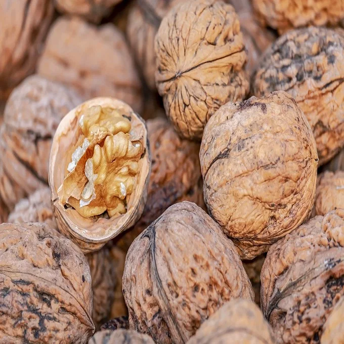 100% Healthy And Best Walnuts In Shell Factory supply Walnut Kernels